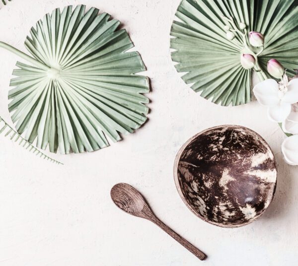 Empty Coconut Bowl With Spoon On White Desk Background With Trop