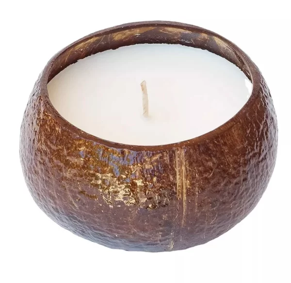 Scented Soy Coconut Shell Candles