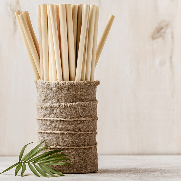 Bamboo Straws