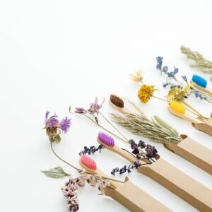 Multicolored Bamboo Toothbrushes With Dried Flowers. Zero Wast W