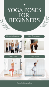 Yoga Poses